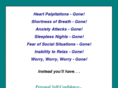 how-to-stop-your-anxiety-now.com