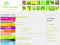 institutdebeauteafleurdepeau.com