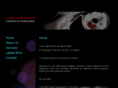 lurewebdesign.com