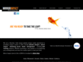 mirrorimpact.com
