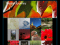 visualjourneyphoto.com