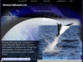 windray-sailboards.com