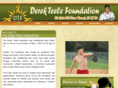 derekteelefoundation.com