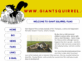 giantsquirrel.com