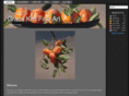 gracekimart.com
