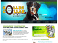 hollerfuryourcollar.com