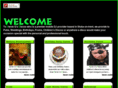 steviegsdiscos.com