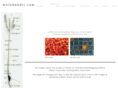 artdialogue.com