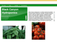blackcanyonhydroponics.com