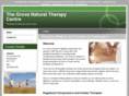 chiropractorsouthampton.com