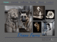 dianefarris.com
