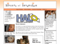 halosafetysystems.com