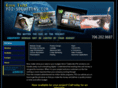 pdi-solutions.com