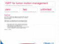 see-igrt.com