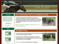 vip-turf.com