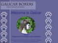 galicarboxers.com