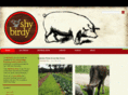 shybirdy.com