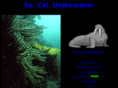 socalunderwater.com