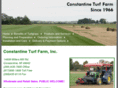 constantineturf.com