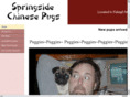 springsidepugs.com