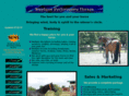 stephensperformancehorses.com