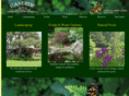 candidelandscaping.com