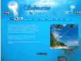 divinginsrilanka.com