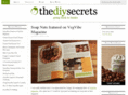 thediysecrets.com