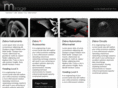 zebraindustries.com