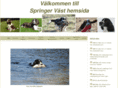 springervast.com