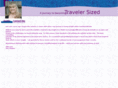 travelersized.com