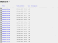 winsterix.com