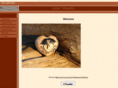 leoshearts.com