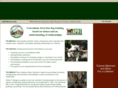 russhollierdogtraining.com