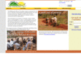 walkingwithafricans.org