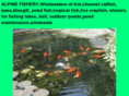 alpinefishery.net