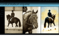 conformationequine.com