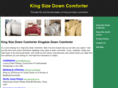 kingsizedowncomforter.com