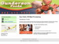 meatprocessingeauclaire.com