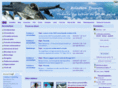 aviationpassion.org