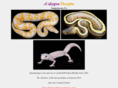 calypsomorph.com