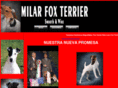 foxterrierawards.com