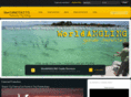 saltwaterflyfishingvideos.com