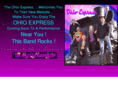 theohioexpress.com