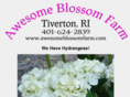 awesomeblossomfarm.com