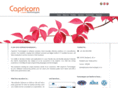 capricorntechnologies.co.in