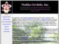 malikaorchids.com