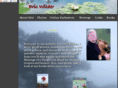 fictionsouth.com