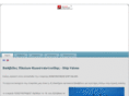 shipvalves.com