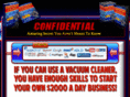 cleanoutsuccess.com